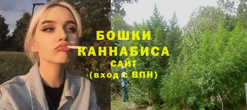 купить   Белая Холуница  Канабис SATIVA & INDICA 